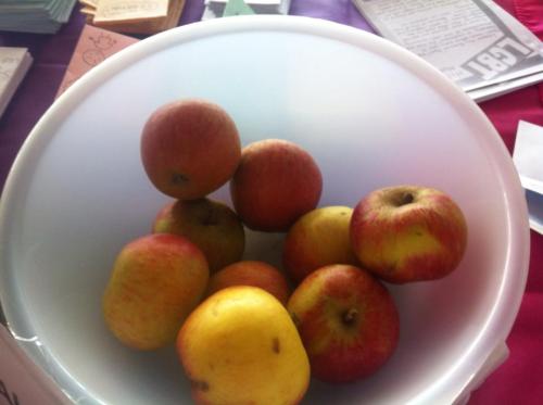 lgbtplus:Here are the Turing apples and the little sticks we put in them.(Don’t worry the apples are
