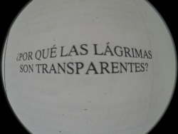 metienesonriendotodoeltiempo:  Porque muestran nuestra verdadera esencia, sin nada que ocultar. Son verdad pura. 