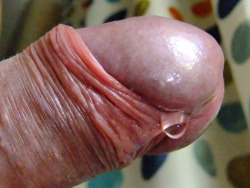 celebratingforeskin:  Nice smooth, purple-colored glans with a drop of precum. I bet he really enjoys his uncut cock. Thanks for the submission, phallus53