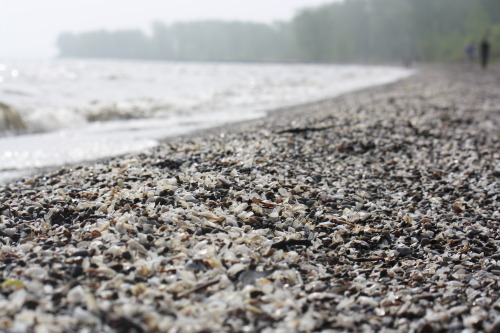 lake erie