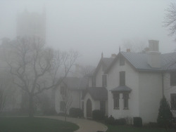 foggies:  ☹☹☹☹foggy☹☹☹☹