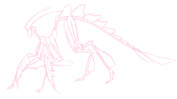 L-Sula-L:  Sorta Like A Weird, Giant Orchid Mantis…Thing! This Ask Is Super Old