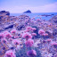 euphori-c-bliss