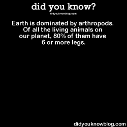 did-you-kno:  Earth is dominated by arthropods.