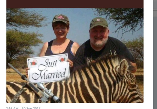 If your honeymoon revolves around “shooting and killing a zebra” instead of, you know, SEX, then the