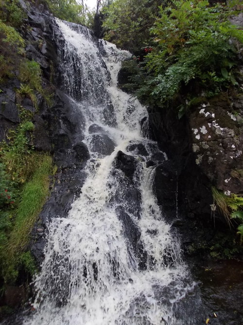 charlesreeza:One of two waterfalls in the gardens at Dunvegan Castle, Isle of Skye.