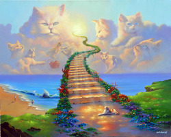 pixography:  Jim Warren ~ “All Cats go to Heaven”, 2013 