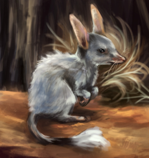 Bilby speedpaint. 