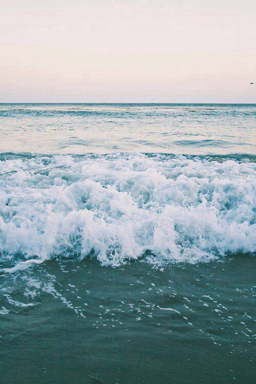 welcometohellblood:  paradise ♥︎ su We Heart It.