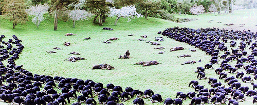 filmforlife:The Last Samurai (2003) Dir. Edward Zwick‘They say Japan was made by a sword. They say t