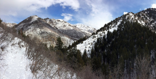 Mill Creek Canyon - Desolation TrailUinta-Wasatch Natl Forest