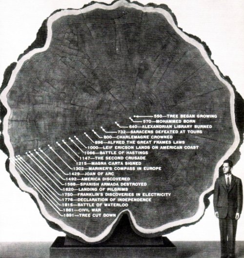 oldsmokeys:  The History of a Tree (550-1891). Click here for thinglink’s interactive ver