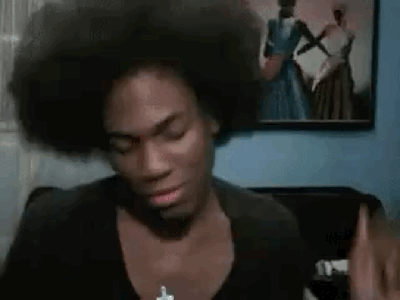 the audacity gif the audacity gif
