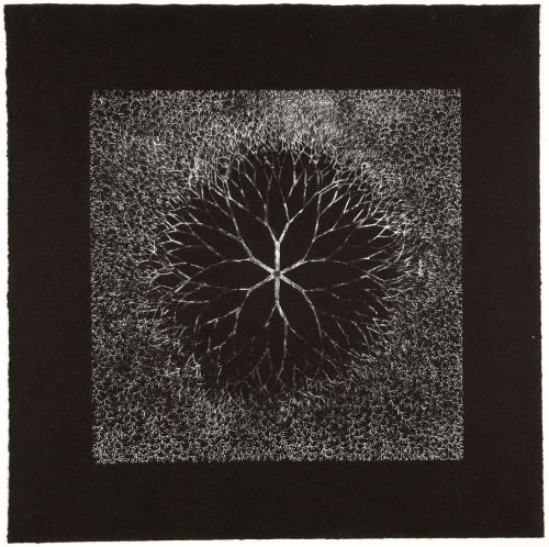 Ruth Asawa, Desert Flower (Black reverse), State I, 1965