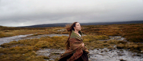 alejandroginarritu:Lady Macbeth (2016) dir. William Oldroyd