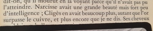 &ldquo;Narcissus had a lot of beauty but very little intelligence&rdquo;I did not expect to see Narc