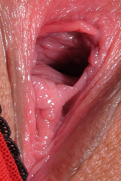 sette1sette:  Lola - Enchanting…  (Expl) Visit my new blog “setteasette” and