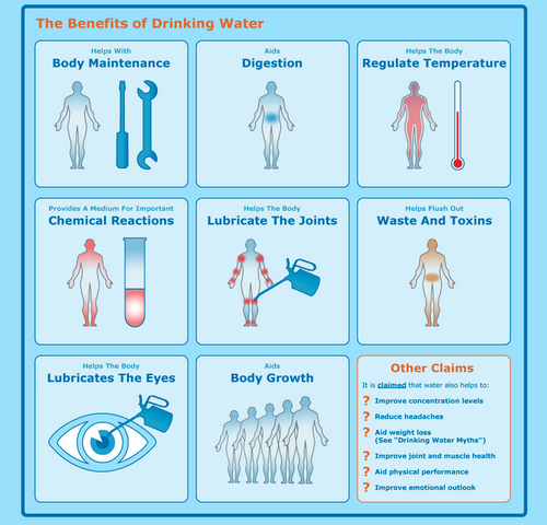 getfit-stayfab:  say-that-to-my-abs:  say-that-to-my-abs:  Here’s a couple of things I found for the anon looking for a master post about the benefits of  drinking water. Also here’s a printable water tracker to help track how much water you’re