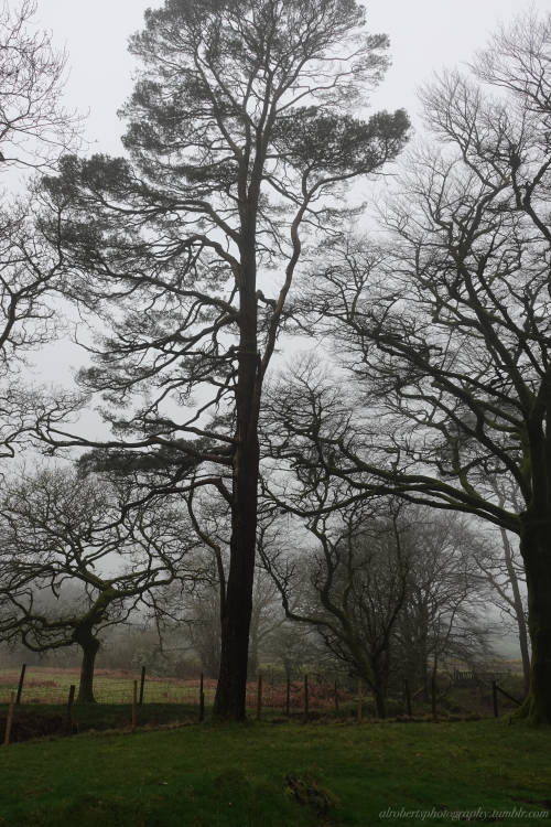 Dartmoor National Park UK