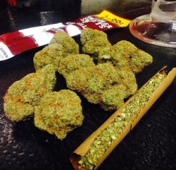 everywherekush:  follow: http://everywherekush.tumblr.com