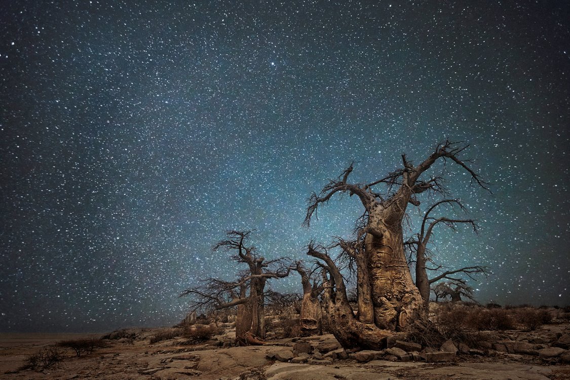 archatlas:  Diamond Nights Beth Moon 