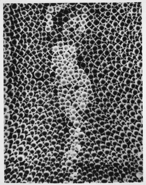 Réflexions, 1929 Man Ray