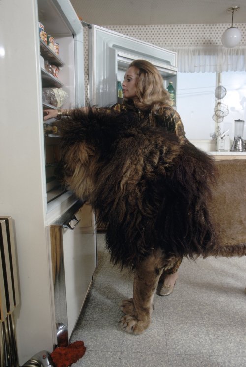 egocollatisviribus:  These photographs show Tippi Hedren — star of Alfred Hitchcock’s The Birds — with her husband, director Noel Marshall, and her daughter, actress Melanie Griffith, and their lion, Neil.  Hedren founded Roar Foundation and Shambala