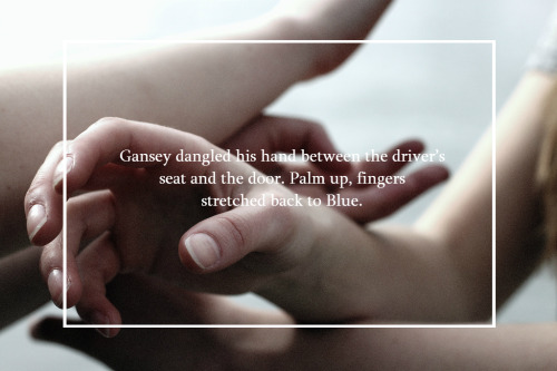 kiohne:Blue touched his fingertips.Just this —He pinched her fingers lightly, just for a moment, and then he withdrew his hand and put it back on the wheel. His chest felt warm.This was not allowed.photo credit