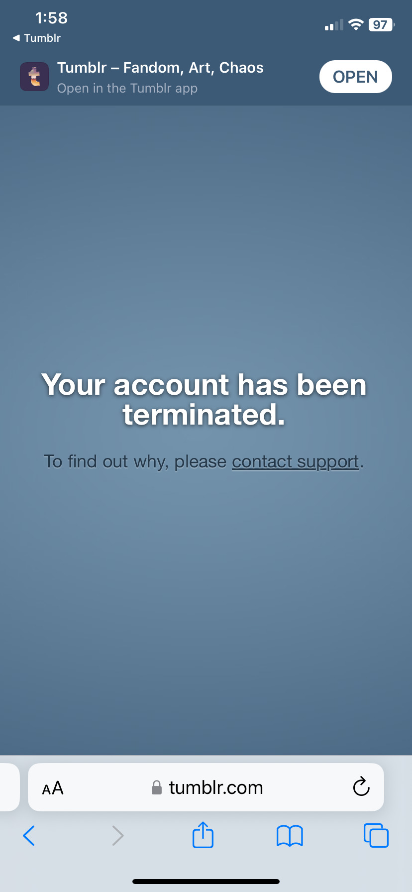 Tumblr media