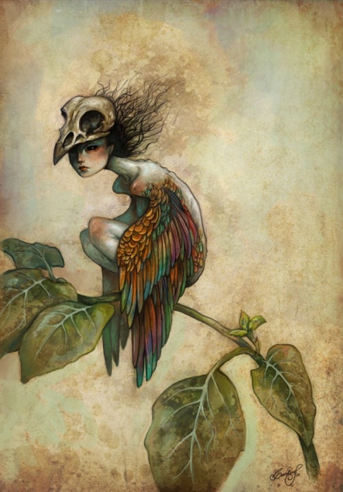 Caroline Jamhour aka Lua Turquesa - Soul Of A Bird  Paintings: Watercolors