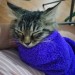 julimaki:my purrito babyig: jazmeowmily
