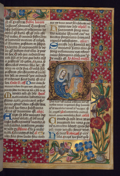 jothelibrarian: Pretty medieval manuscript of the day is a lovely historiated initial of the nativit