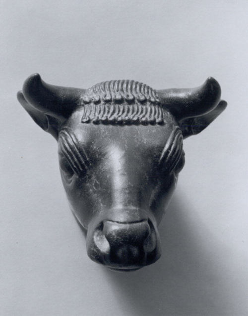 met-ancient-art:Bull’s head, Metropolitan Museum of Art: Ancient Near Eastern ArtGift of Alastair Br