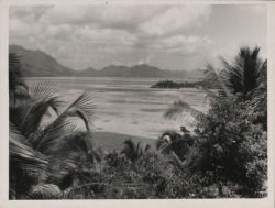 apeninacoquinete:  Seychelles, 1959