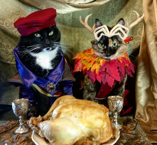 cat-cosplay:Happy Thanksgiving Critters,May it be filled with Family, Friends, Food, Fun… and chicke