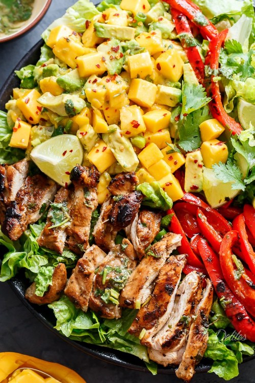 intensefoodcravings:  Cilantro Lime Chicken Salad + Mango Salsa | Cafe Delites