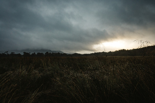 the field awakens. snapped by J©