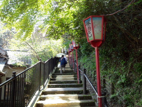 20150426　日曜日北潟湖畔公園のあと吉崎御坊まで。4月23日から5月2日までが「蓮如忌」ということで、多くの観光客で賑わっていた。Gobou市という市（いち）で福井や石川のお店が出店していて、ま