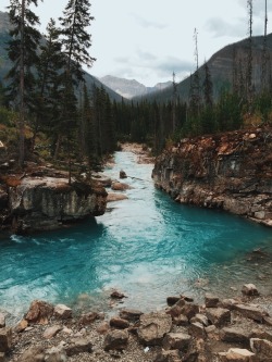 teapalm:  (Tasha Marie) | Marble Canyon 