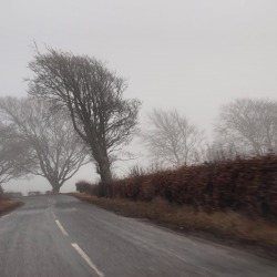 Foggy Scotland