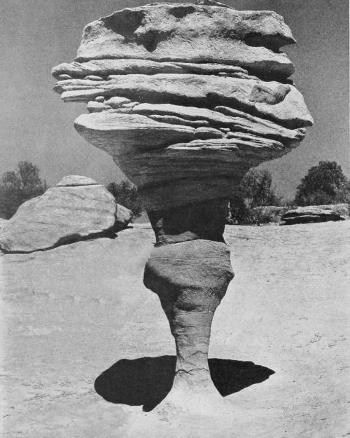 equatorjournal: Wind gods fashioned the goblet of Venus, 1958. Photograph by Zeke Johnson “Som