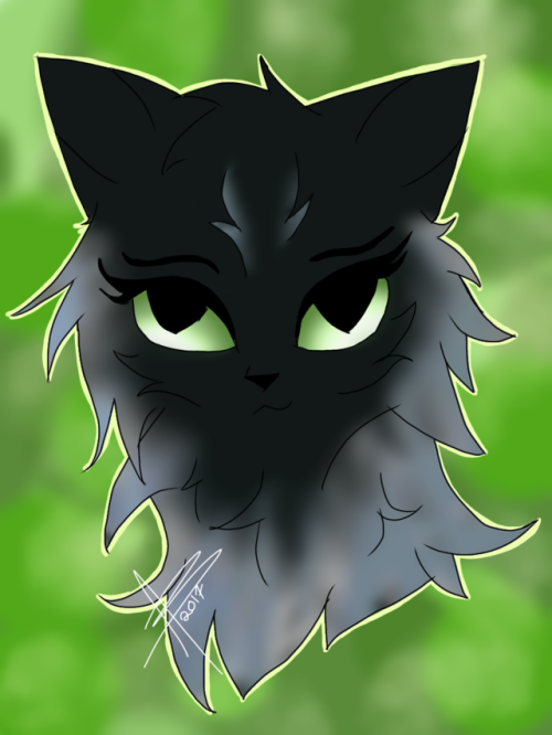 Dappled Leaf Cat
