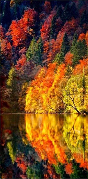 My Fall Blog