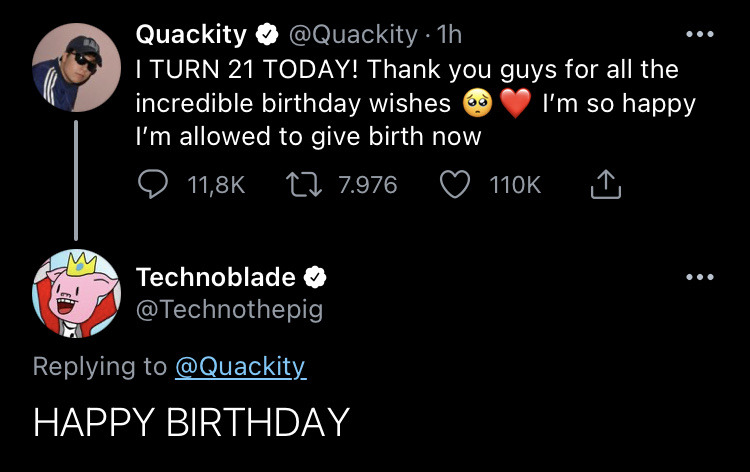 What Happened to Technoblade? Did Technoblade Die on His Birthday