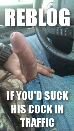 whitetrashhomos:  Local gay men want sex: http://bit.ly/2gOf4lO  Yes