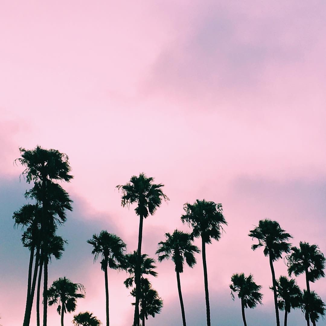Lvplastic Tumblr