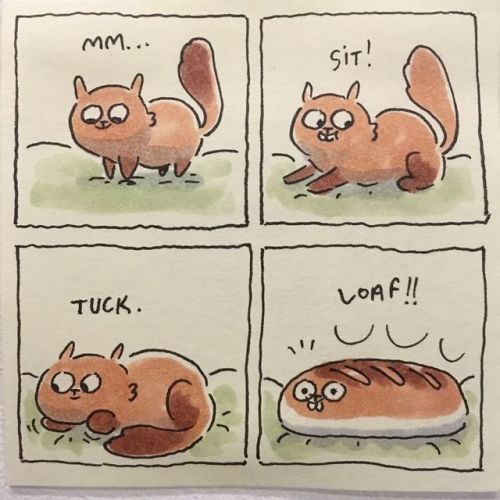 catsbeaversandducks:  “I try to capture all the little fun moments that happen when living with cats. All my little cat comics are done on 4 by 4 post-it notes! My fluffy friends are always a great source of inspiration and entertainment. And best