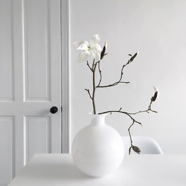 jessica154blog:  dhowelldesignsflowers 