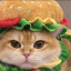 kittyhascheeseburger