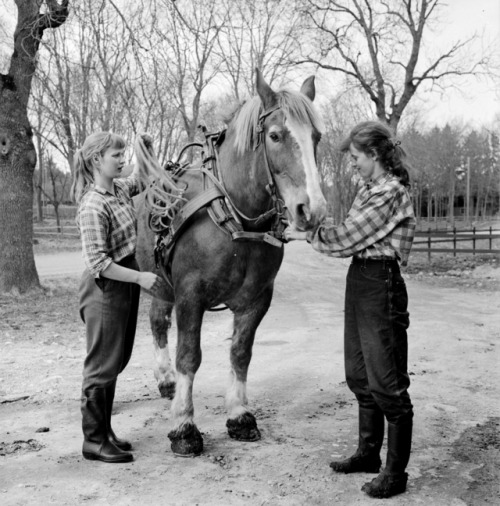 vintage-sweden: Girls and horse, 1959, Sweden.